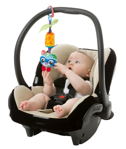 Playgro Cheeky Chimes il procione roccioso