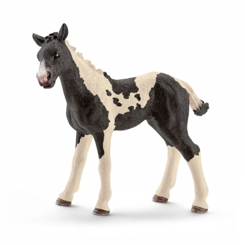 Schleich 13803 Puledro Pinto