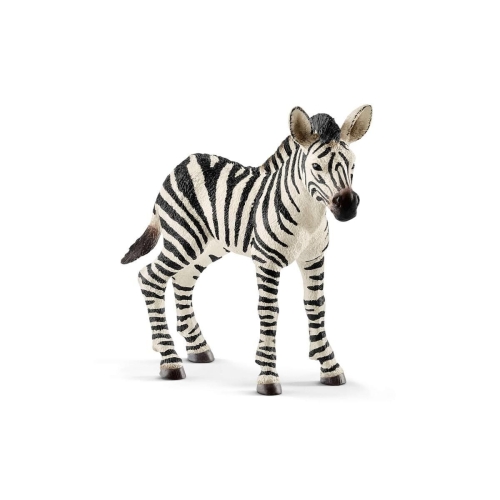 Schleich 14811 Puledro Zebra