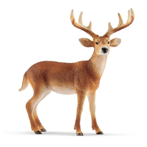 Schleich 14818 Cervo dalla coda bianca