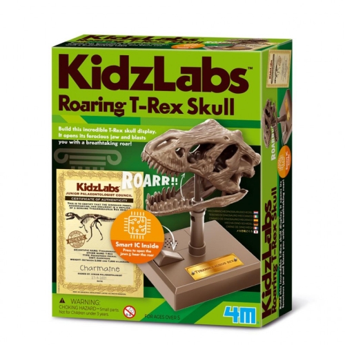 4M Kidzlabs Cranio di T-Rex ruggente